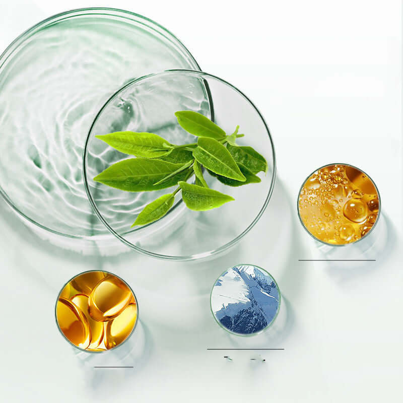 Green Tea, Eggplant & Charcoal Mud Mask – Deep Cleansing & Moisturizing Detox Mask